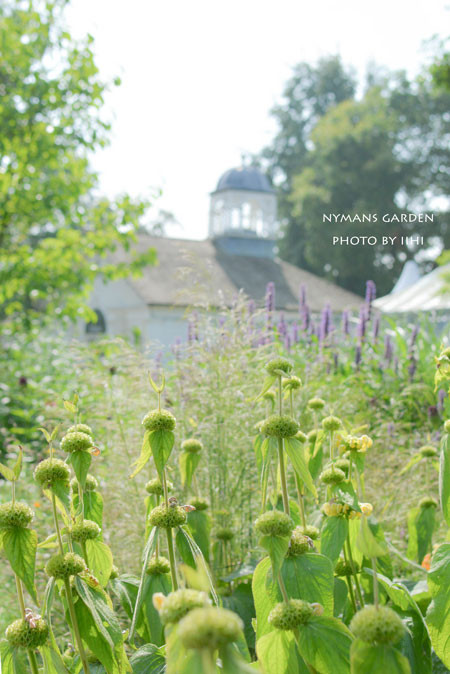 20140712nymans-garden03.jpg