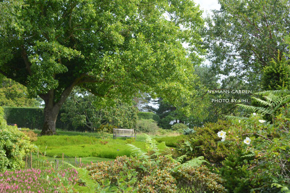 20140712nymansgarden11.jpg