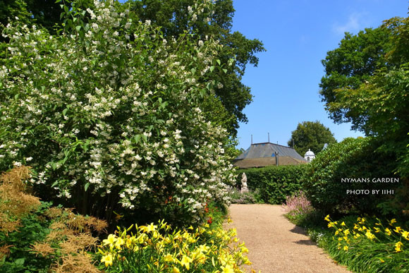 20140712nymansgarden18.jpg