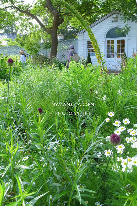 20140712nymansgarden23.jpg
