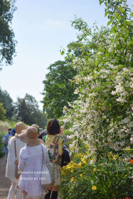 20140712nymansgarden26.jpg
