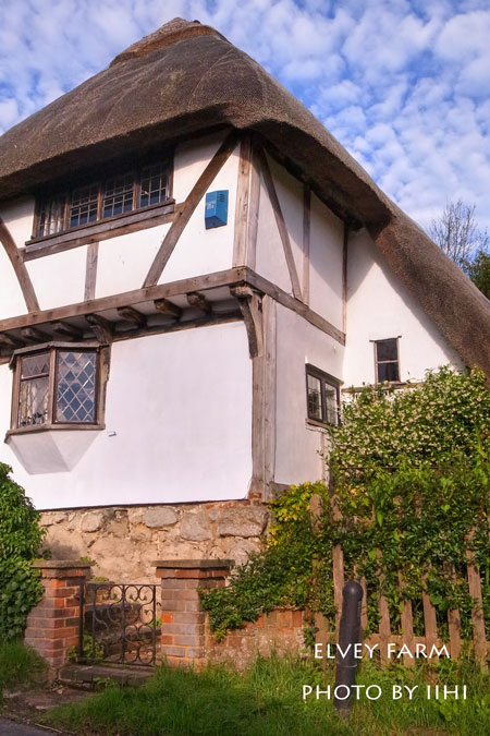 20140715elveyfarm17.jpg