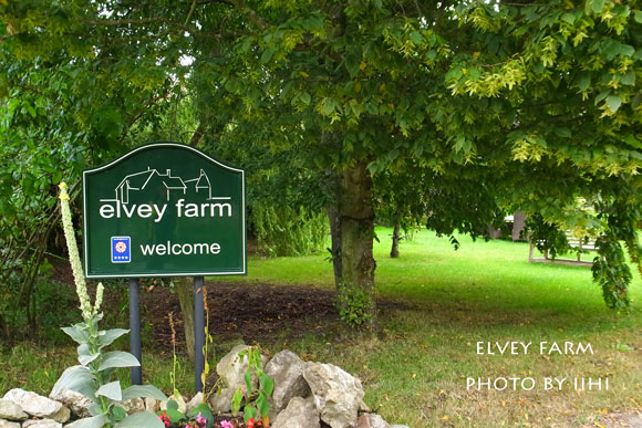 20140715elveyfarm29.jpg