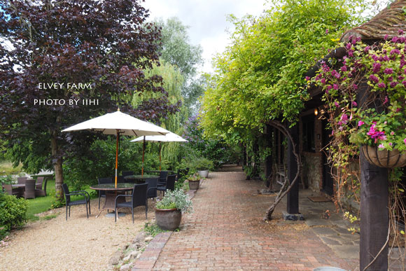20140715elveyfarm30.jpg