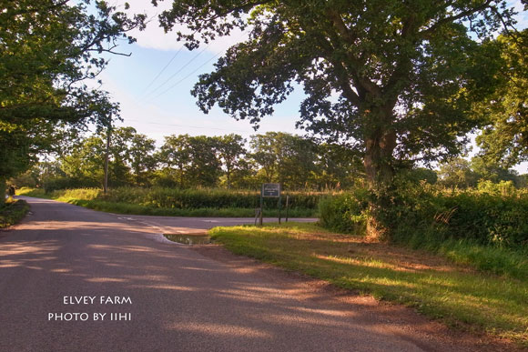 20140715elveyfarm34.jpg