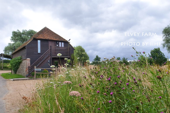 20140715elveyfarm41.jpg