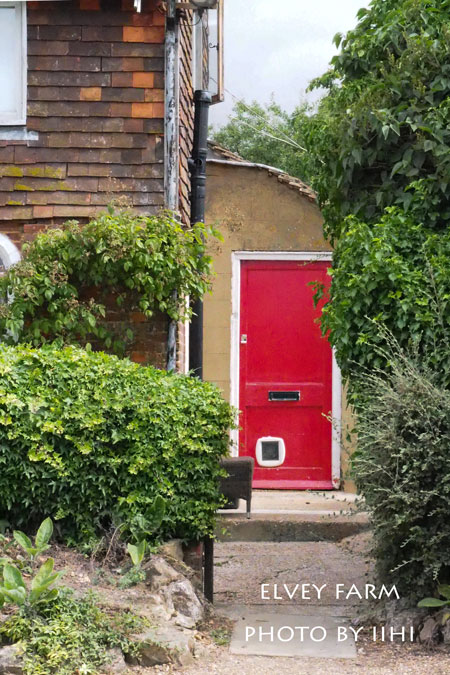20140715elveyfarm43.jpg