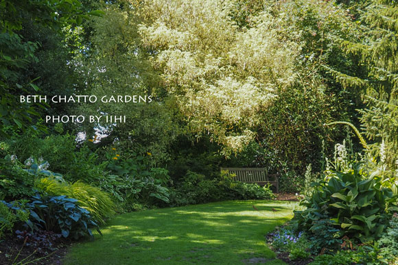 2014julyBethChattoGardens27.jpg