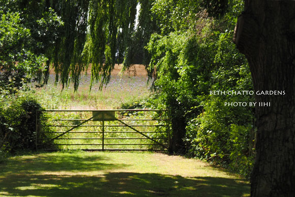 2014julyBethChattoGardens30.jpg