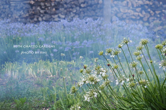 2014julyBethChattoGardens34.jpg