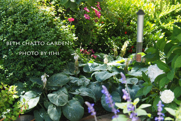 2014julyBethChattoGardens37.jpg