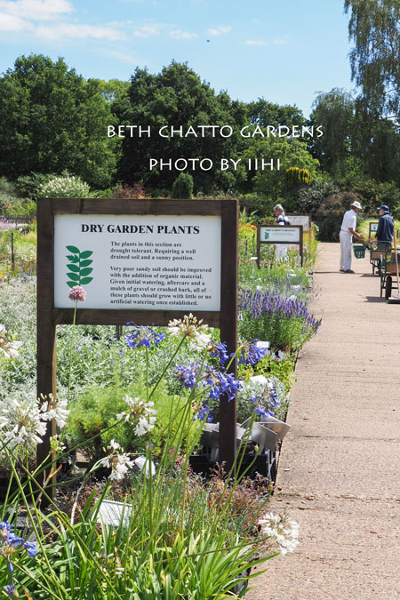2014julyBethChattoGardens51.jpg