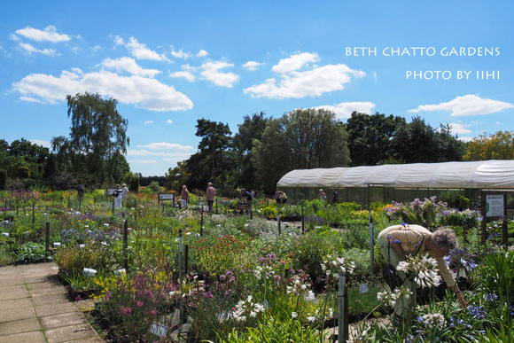 2014julyBethChattoGardens53.jpg
