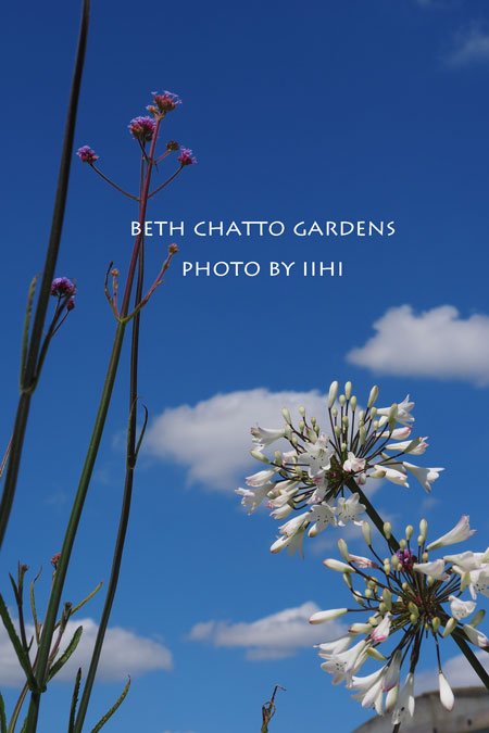2014julyBethChattoGardens56.jpg