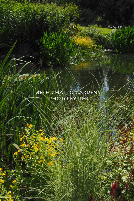 2014julyBethChattoGardens59.jpg