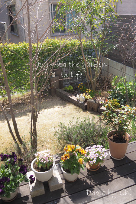 20150326joywithgarden.jpg