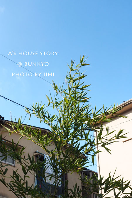 20151024ahousebunkyo_6.jpg