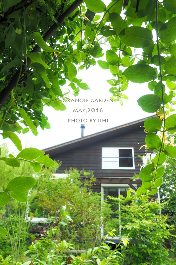 20160520okanoiegarden11.jpg