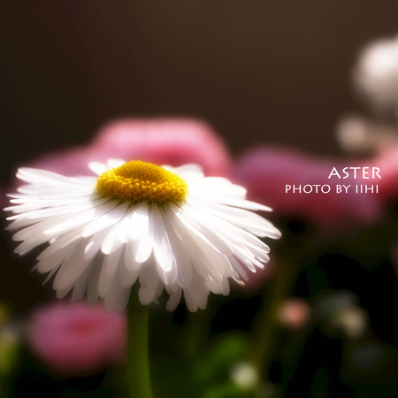 ASTER201302.jpg