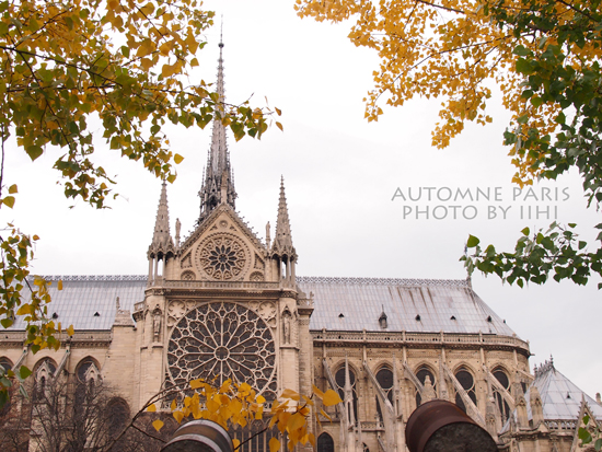 Automne-de-Paris2.jpg