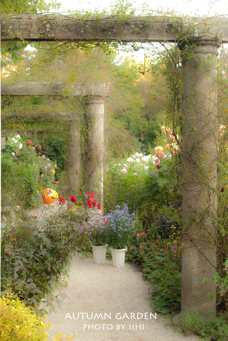 Autumngarden2012.jpg