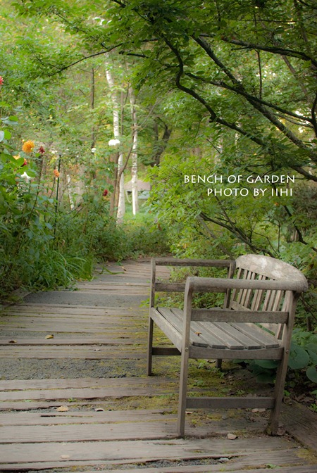 Bench of garden201210.jpg