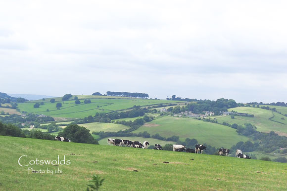 Cotswolds3-2014.jpg