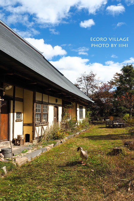 ECOLOVillage2-2015oct.jpg