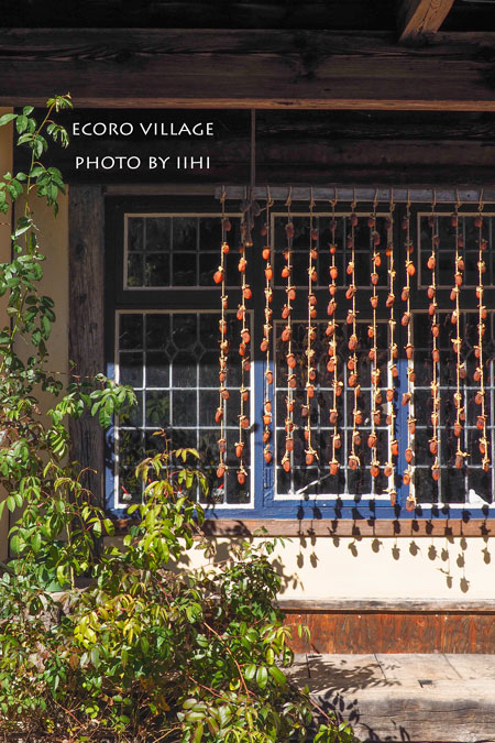 ECOLOVillage53_2015oct.jpg