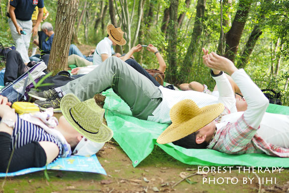 Foresttherapy10-20140723.jpg