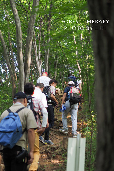 Foresttherapy9-20140723.jpg