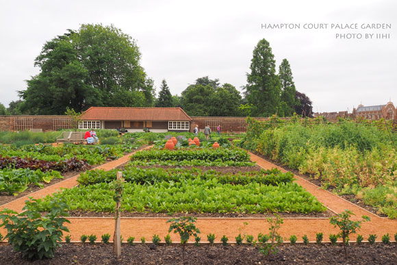 HamptonCourtgarden005.jpg