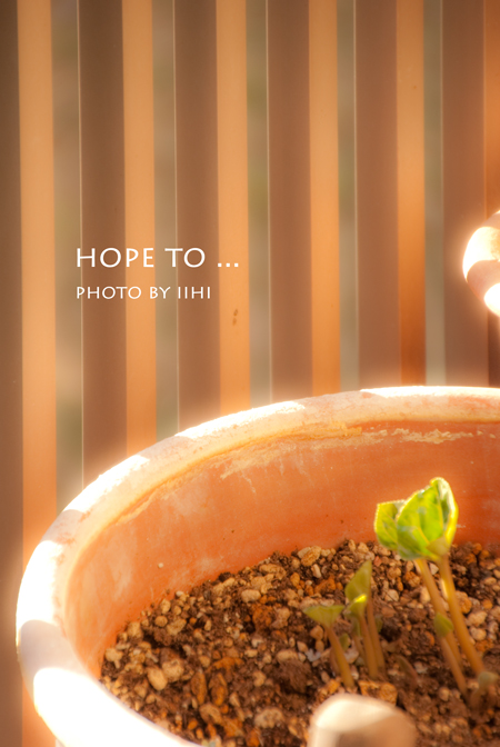 Hope-to-2013.jpg