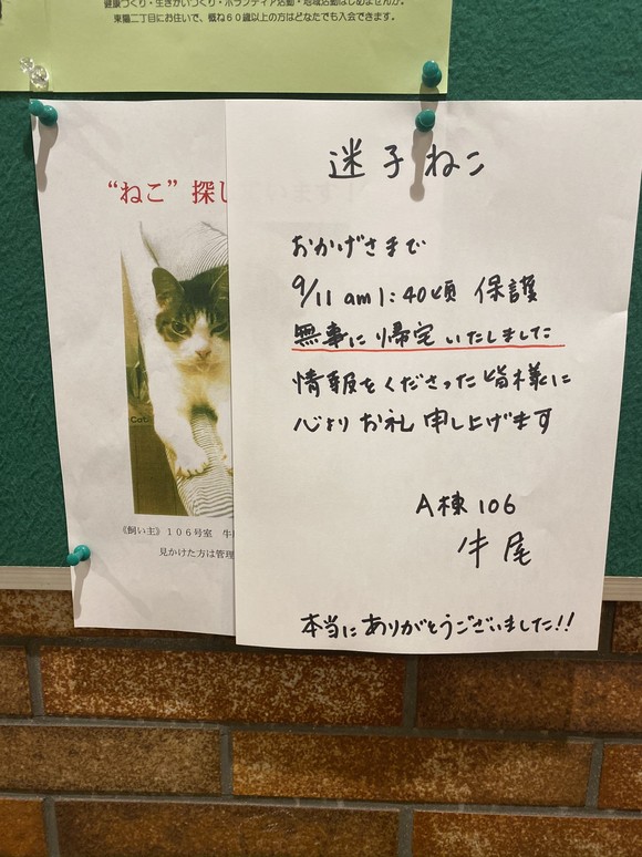 IMG_5294.jpeg