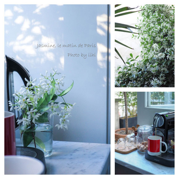 Jasmine-le-matin-de-Paris-s.jpg