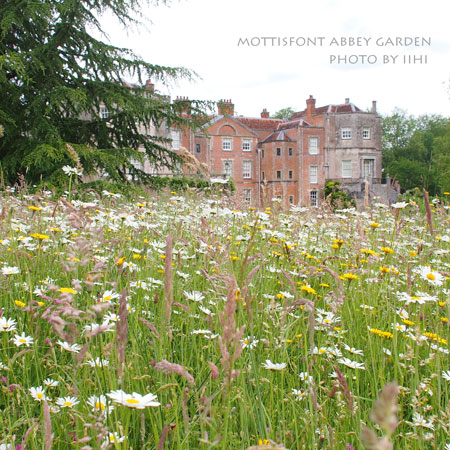 MottisfontAbbeygarden12ihi.jpg