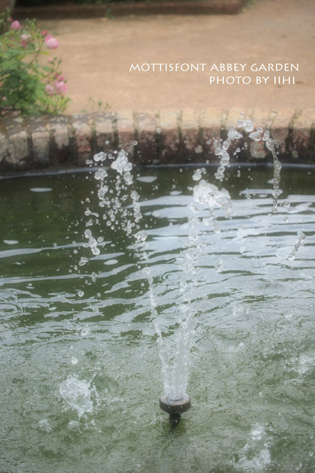 MottisfontAbbeygarden21_iih.jpg