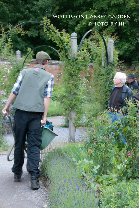 MottisfontAbbeygarden32_iih.jpg