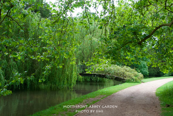 MottisfontAbbeygarden36iihi.jpg