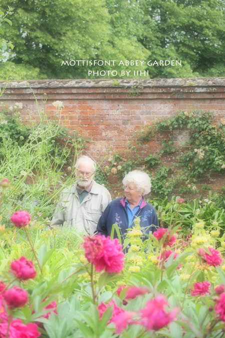 MottisfontAbbeygarden4ihi.jpg