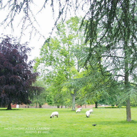 MottisfontAbbeygarden7ihi.jpg