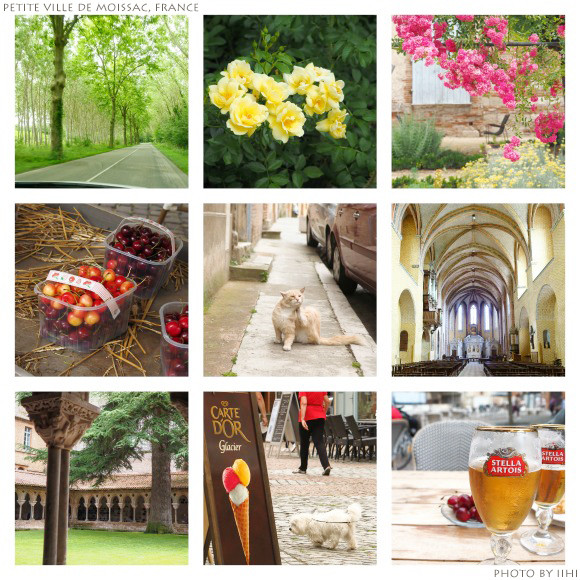 Petite-ville-de-Moissac-France1.jpg