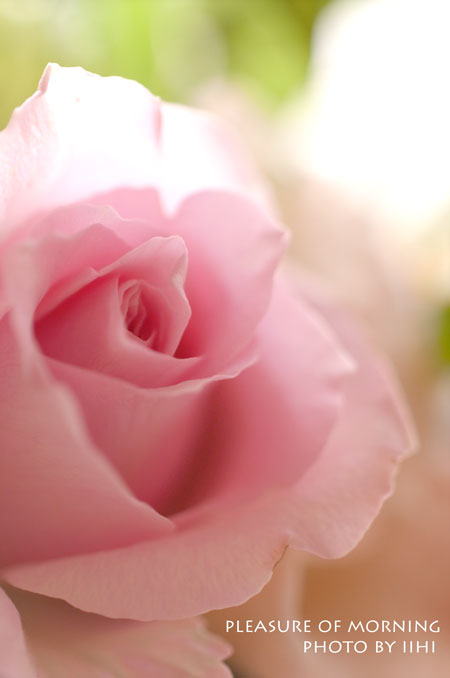 Pleasureofmorning2-iihi.jpg