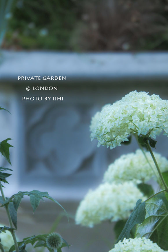 PrivateGardenJuly2014_021.jpg