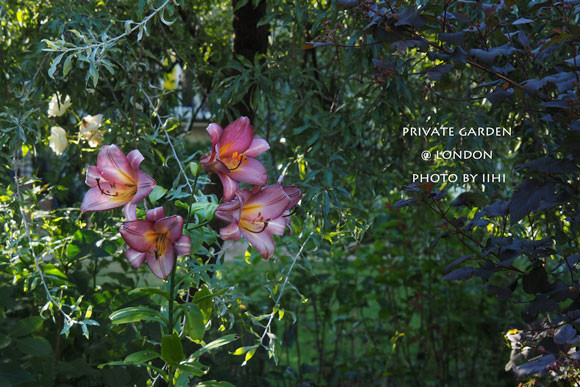 PrivateGardenJuly2014_046.jpg