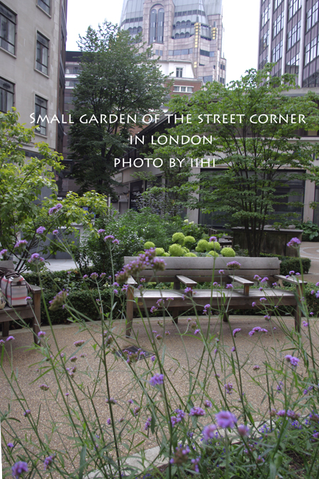 Small-garden-of-the-street-.jpg