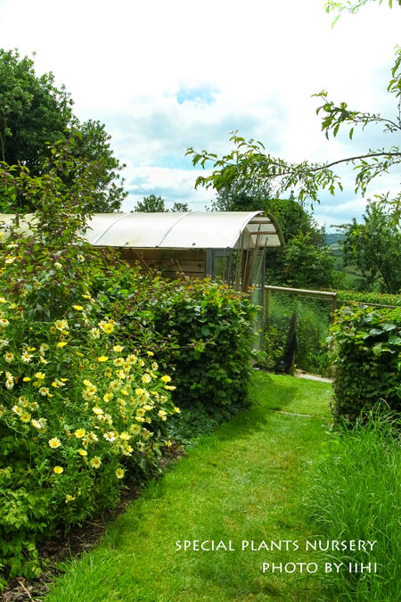 SpecialPlantsNursery039.jpg