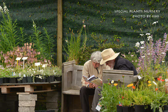 SpecialPlantsNursery042.jpg