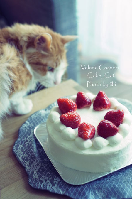 ValerieCasadocake-20140222i.jpg
