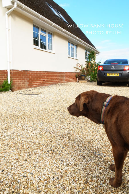 Willow-Bank-House03_iihi.jpg